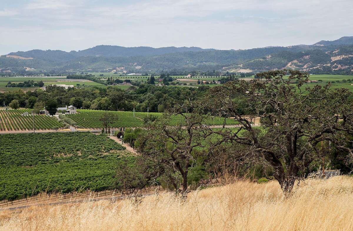 A sweeping view of Napa Valley as seen from the property at Signorello Winery in Napa, Calif. Friday, July 13, 2018.