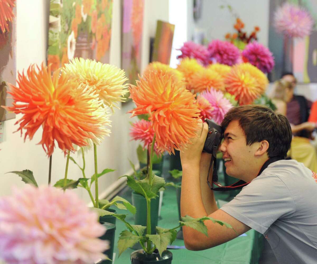 A dazzling display of Dahlia will be on exhibit at the Greenwich Botanical Center at 130 Bible St. from 2 to 4 p.m. Saturday and from 10 a.m. to 3 p.m. Sunday. You will marvel at the wonderful forms, colors and abundance of blooms on display. Admission is free. The two-day juried show featured hundreds of beautiful dahlias on display, followed by a sale of the flowers. For more info, visit www.gecgreenwich.org.
