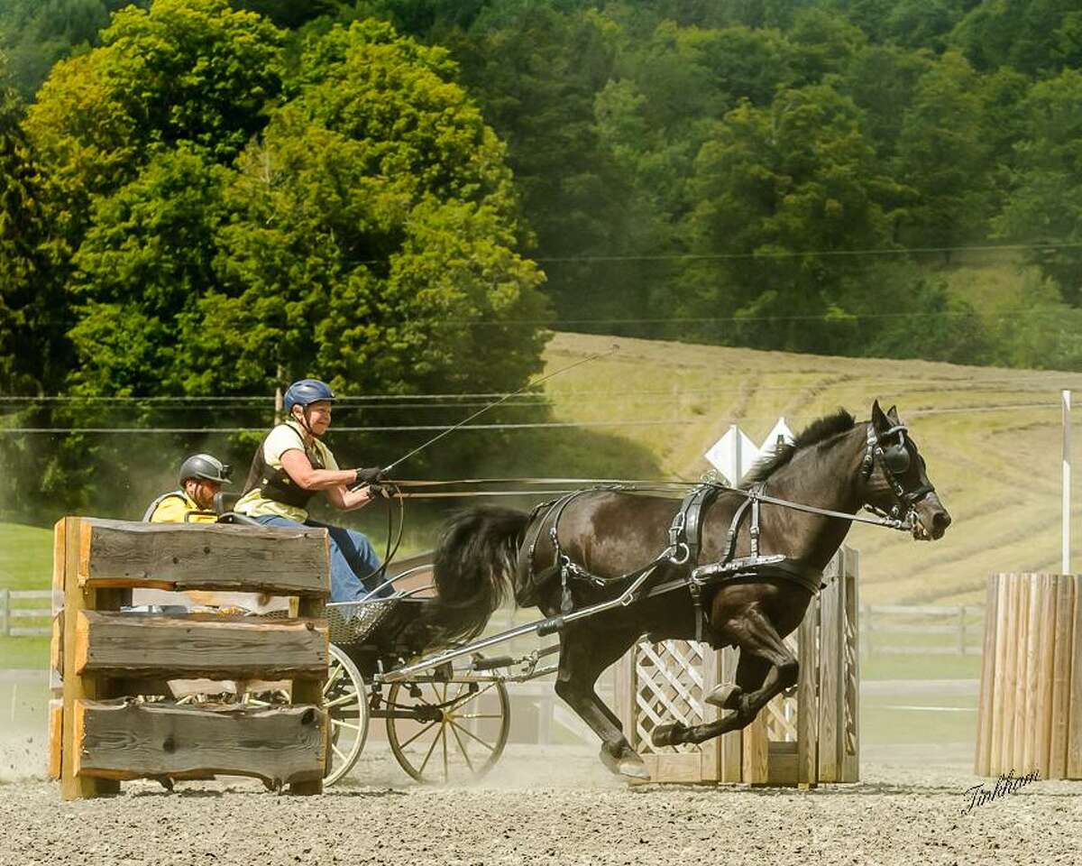 Canadian horse expo scheduled at Harwinton Fairgrounds Oct. 13