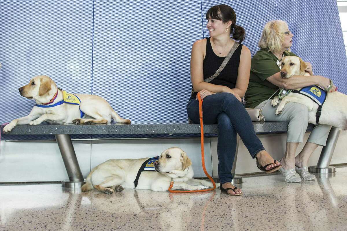 Robyn Schapiro, left, and Maryellen Bunn take a break with their service dogs, in Terminal C at George Bush Intercontinental Aiport as they participate in a program that helps people with special needs train both their companion dogs and themselves about coming to and navigating around the airport on Thursday, Sept. 27, 2018, in Houston.