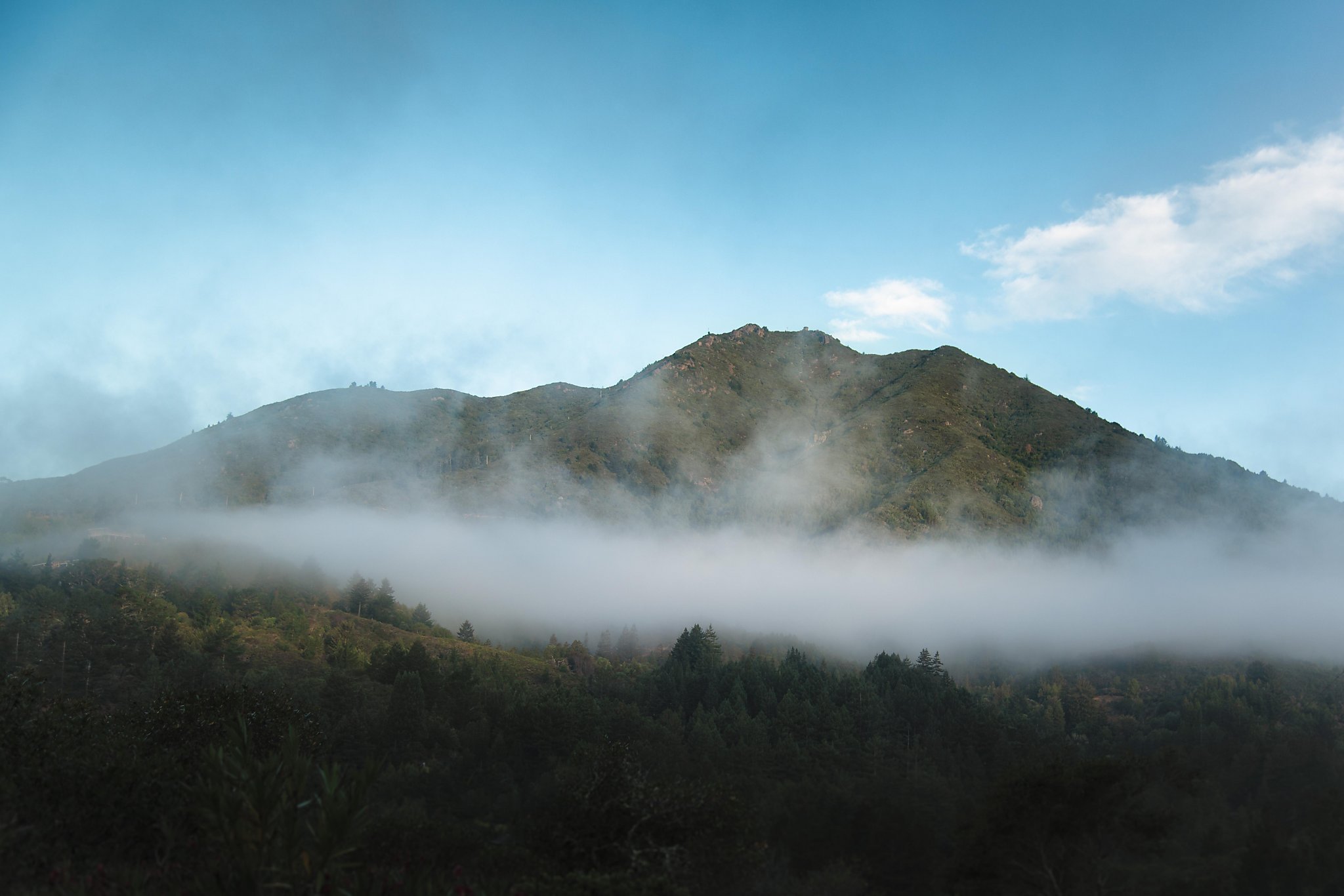 A day in the life of Mount Tamalpais in 5 minutes