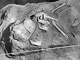 Detailed Native American Remains Discovered On Uc Berkeley Campus Abstract Photography Detailed Native American Remains Discovered On Uc Berkeley Campus Abstract Photography