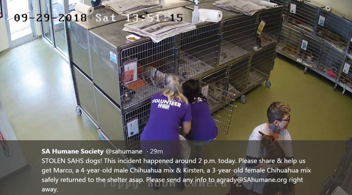 sa humane society