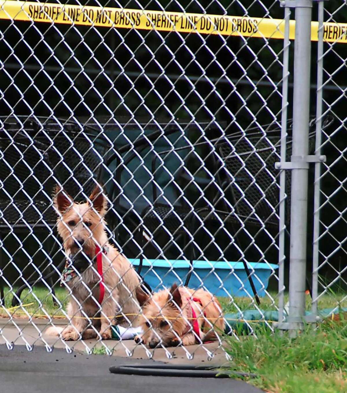 From nowhere, gunfire