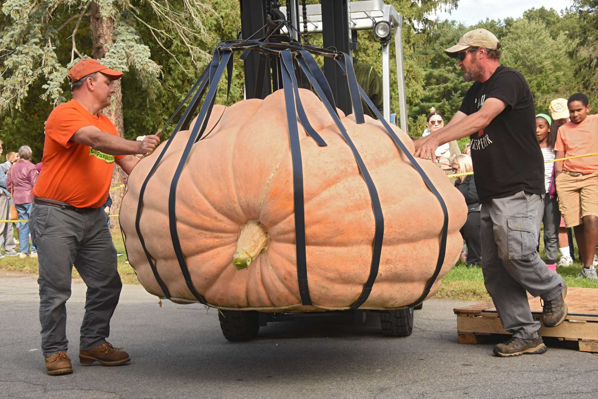 here-s-what-an-1-825-pound-pumpkin-looks-like-houston-chronicle