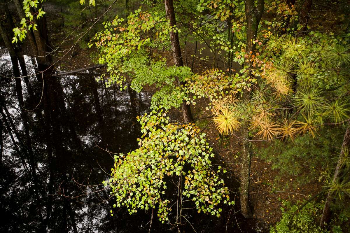 Thousands expected at Whiting Forest reopening