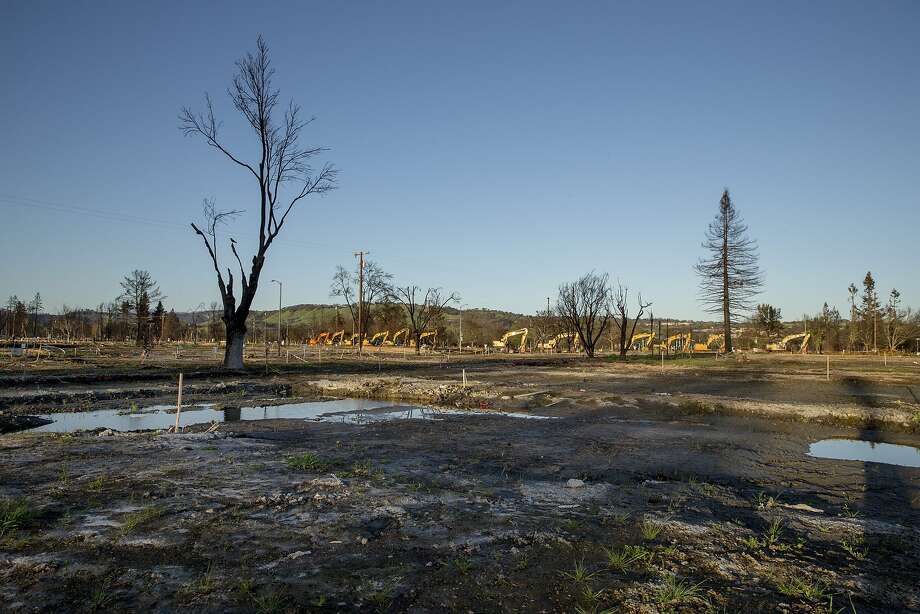 The properties where houses used to be along Dogwood Drive and off of Mocha Lane, Thursday, March 22, 2018, in Santa Rosa, Calif. The Coffey Park neighborhood area was devastated by last year's Tubbs Fire. Photo: Santiago Mejia / The Chronicle