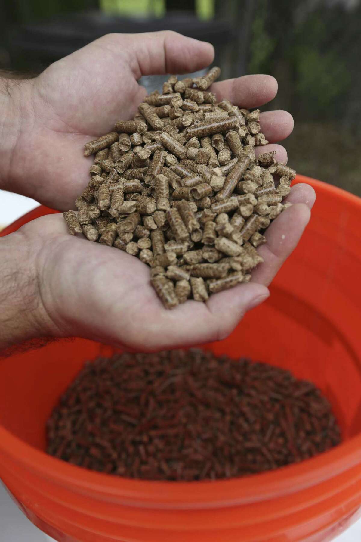 Wooden pellets used in the pellet grills have the same look as rabbit food.
