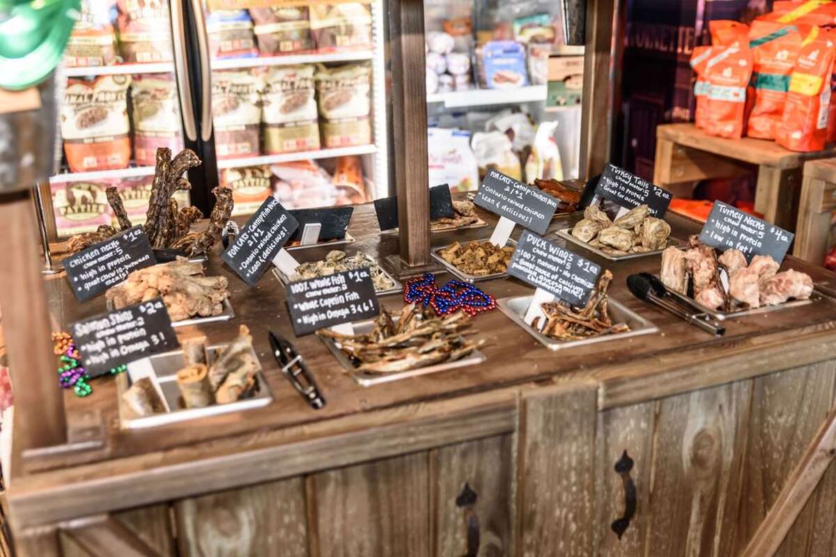 Katy special needs chihuahua with 'big personality, little body' warms