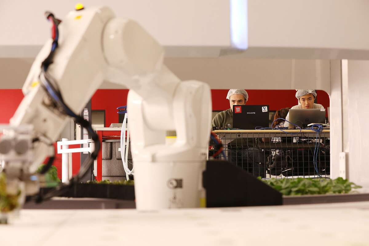 Jon Binney (l to r), co-founder and CTO Iron Ox, and Catherine Wong, robotics engineer, monitor the robotics as a robotic arm transfers red veined sorrel from one container to another at Iron Ox on Tuesday, October 2, 2018 in San Carlos, Calif.