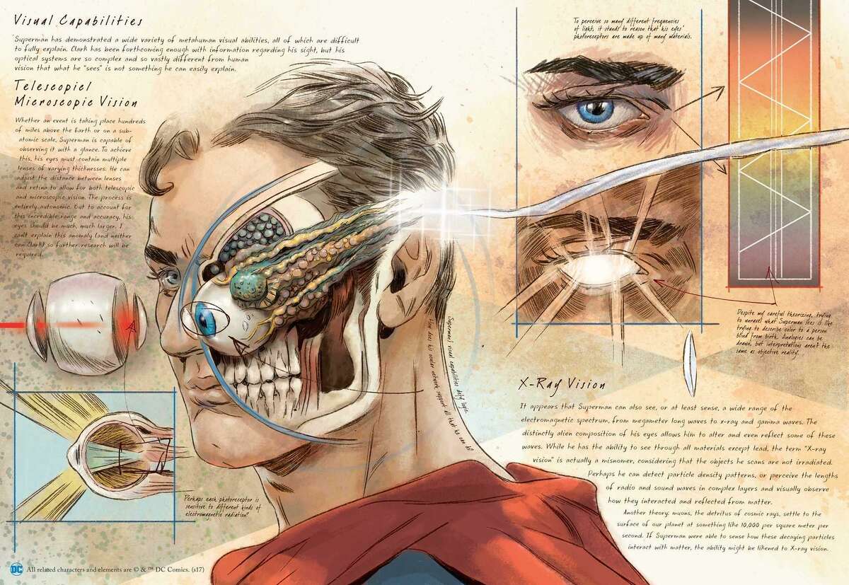 A page from “Anatomy of a Metahuman,” by S.D. Perry and Matthew K. Manning
