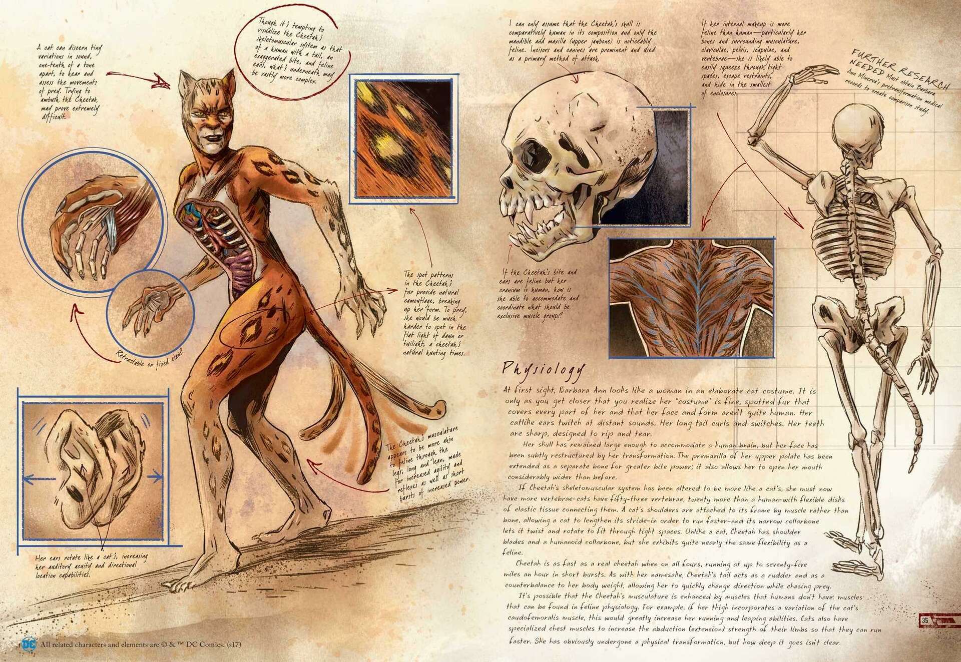 Anatomy of a Metahuman' dissects superheroes in original ways