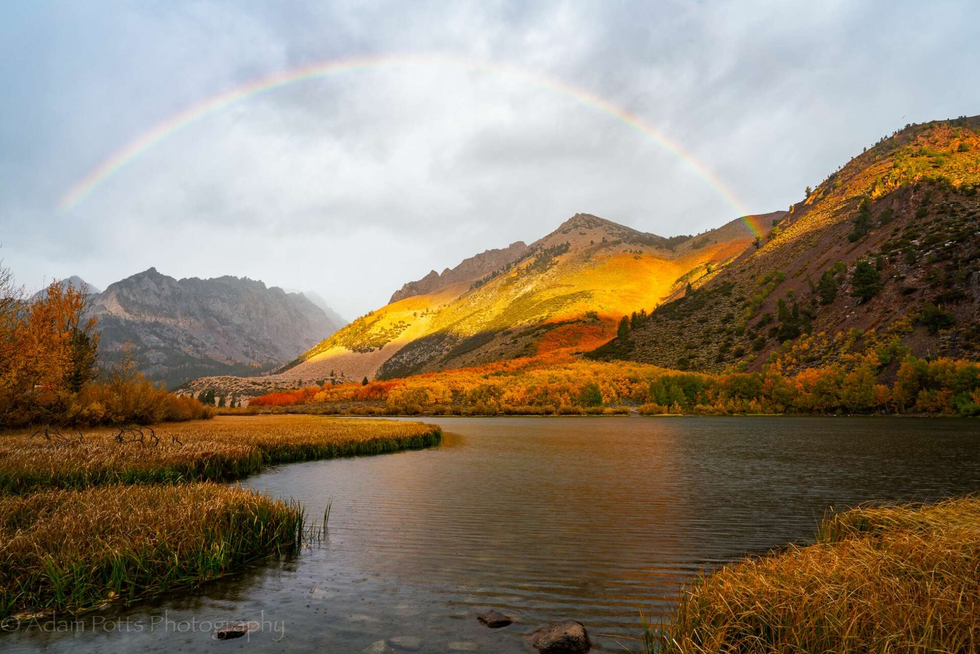 Go now! Brilliant fall colors peak in Eastern Sierra, image size:1920x1281