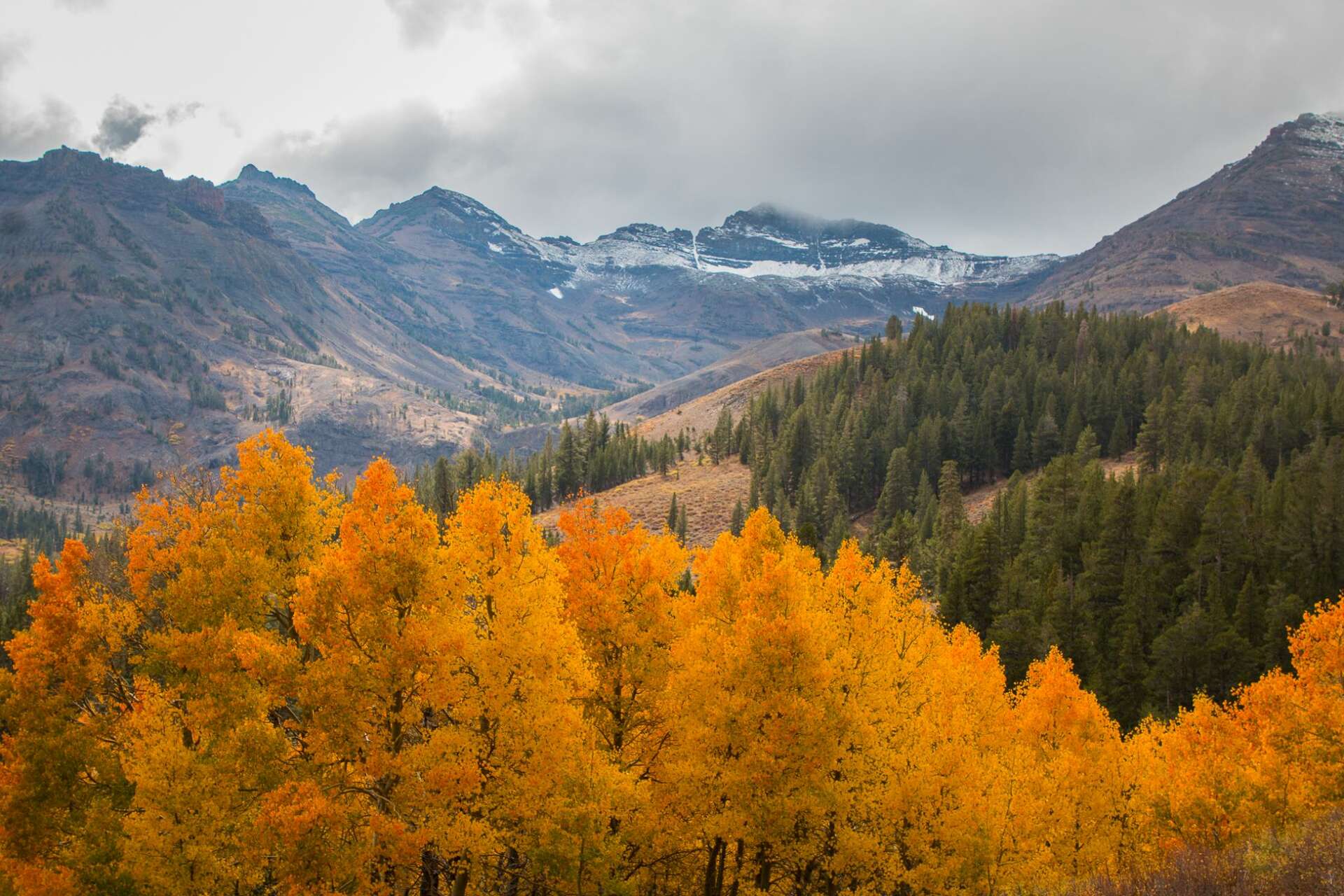Koope de Ville @ Robin's Roost - Cabins for Rent in Crescent City,  California, United States - Airbnb, image size:1920x1280
