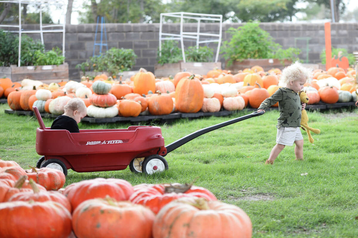 Two-year-old Gunnar pulls his sister Piper in a wagon through the pumpkin patch at St. Luke's United Methodist Church Oct. 6, 2018. James Durbin/Reporter-Telegram