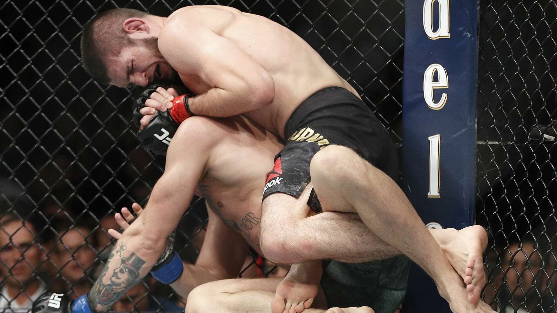 Melee at UFC 229 after Khabib Nurmagomedov chokes out Conor McGregor