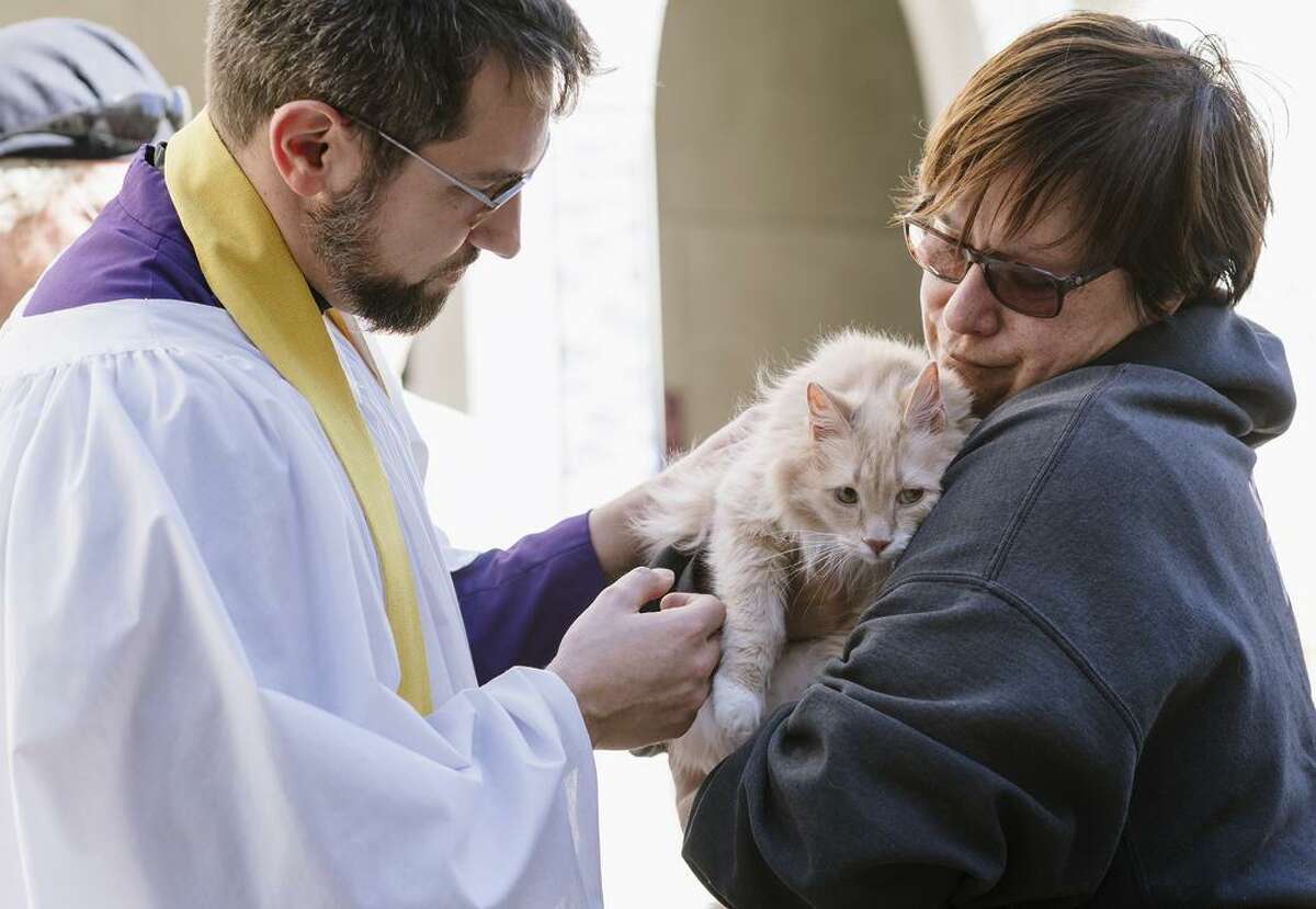 裘德·哈蒙牧师为米拉·拉金的患癌症的猫Gnocchi祝福，这些长着爪子的动物坐在诺布山教堂的长椅上。