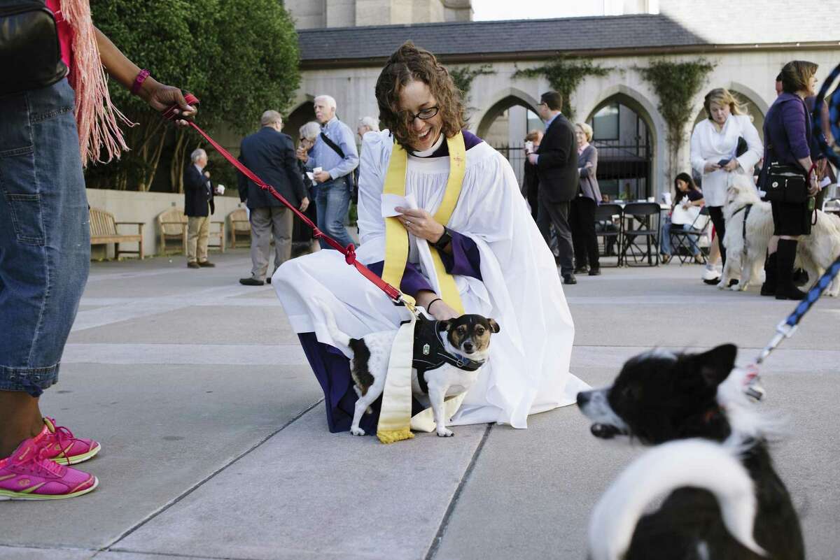 牧师克里斯汀·塞勒(Kristin Saylor)为一只狗祈福，这是圣公会大教堂一年一度纪念动物守护神圣弗朗西斯(St. Francis)的仪式上众多动物之一。