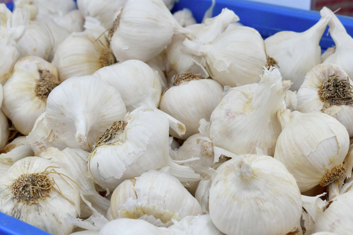 The 14th Annual Connecticut Garlic and Harvest Festival, the weekend of October 6-7, 2018. The event at the Bethlehem Fairgrounds features fresh garlic and farm produce, garlic specialty food vendors, crafts, garlic food court, garlic growing lectures, garlic cooking demonstrations, live entertainment, amusements, and plenty of samples, make this a must for a garlic lover. 