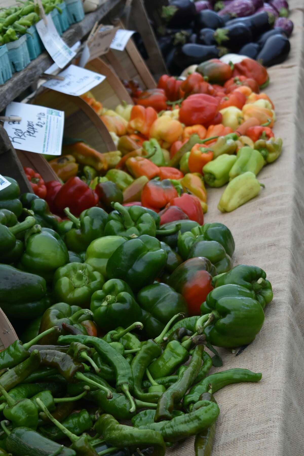 SEEN Connecticut Garlic and Harvest Festival 2018