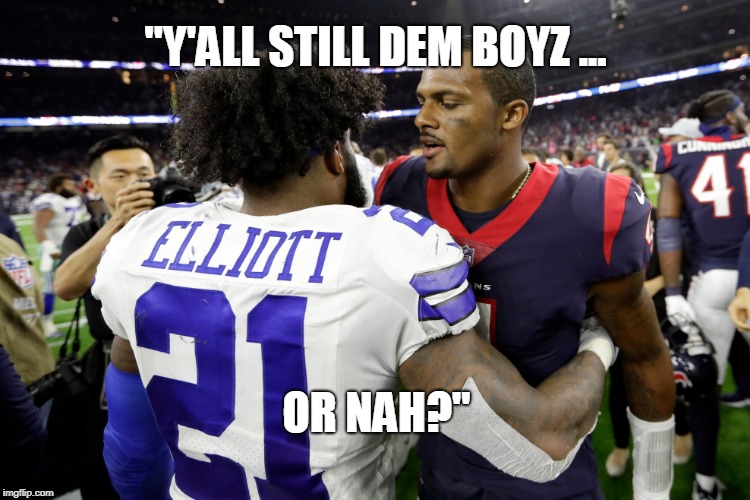 NFL Memes on X: Houston Texans fans win Halloween. A bunch of