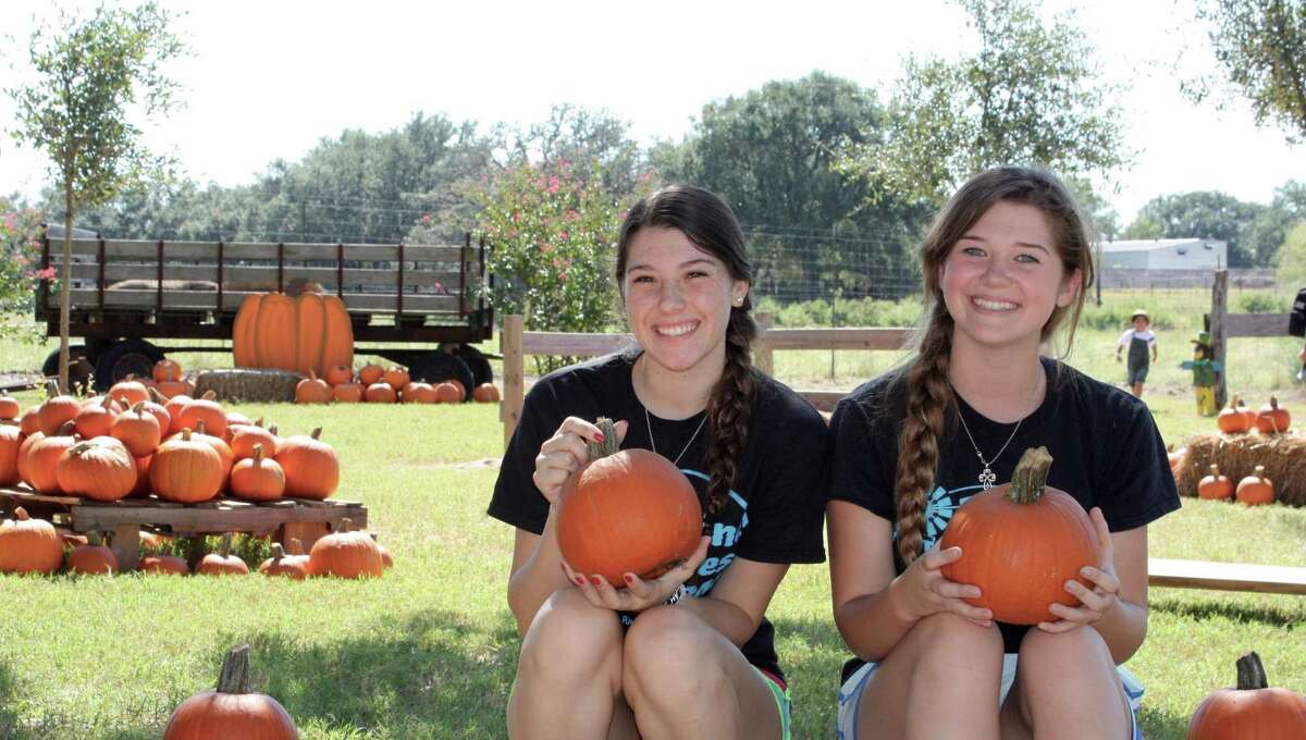 helotes pumpkin patch