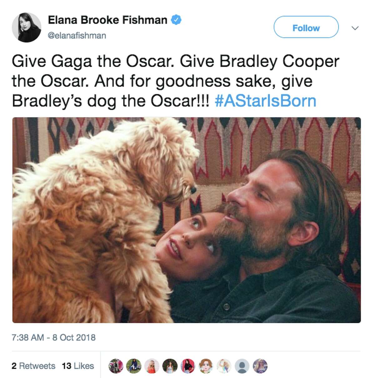 What breed is Bradley adorable dog in 'A Star is Born?'