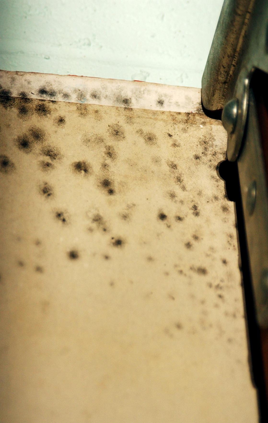 Fall allergy season is here — and it’s bad Connecticut Post