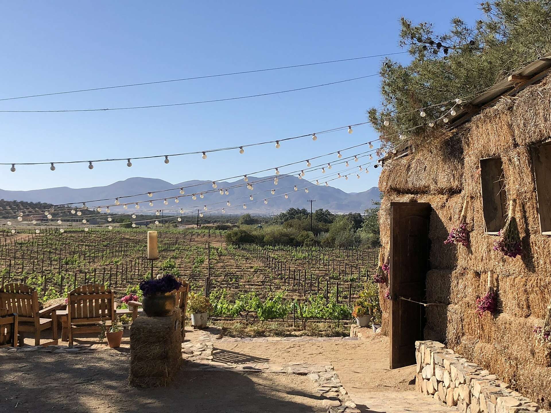 This Baja wine region is the Napa Valley of Mexico