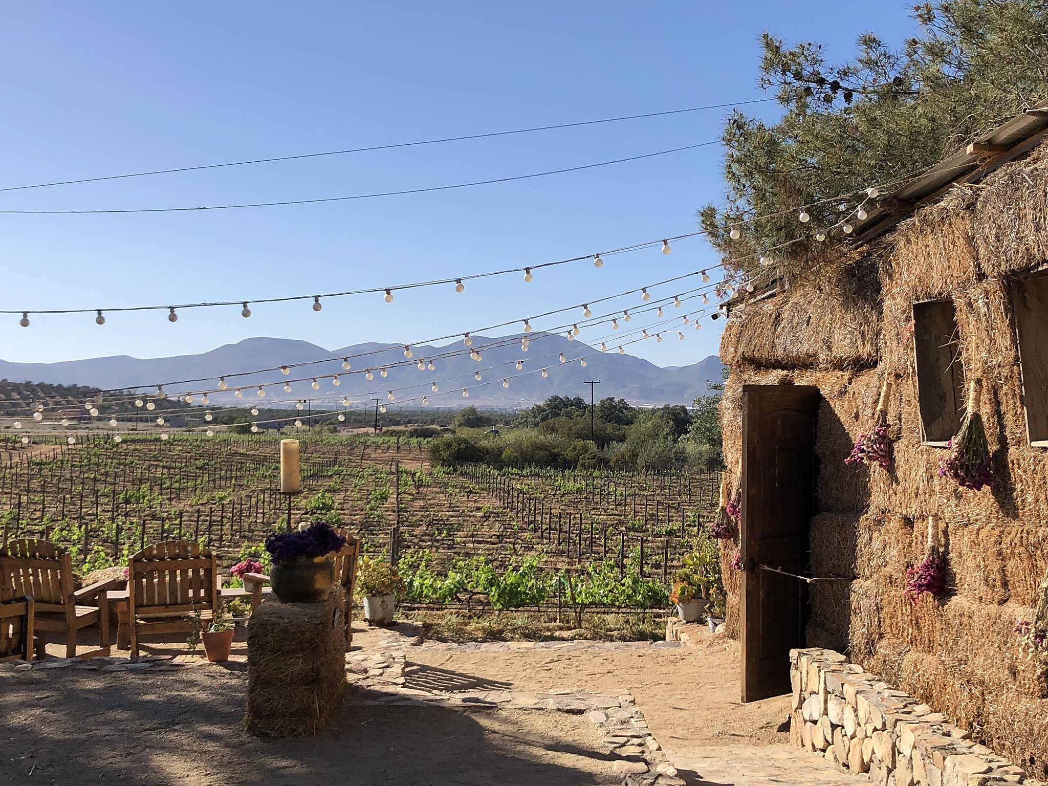 This Baja wine region is the Napa Valley of Mexico