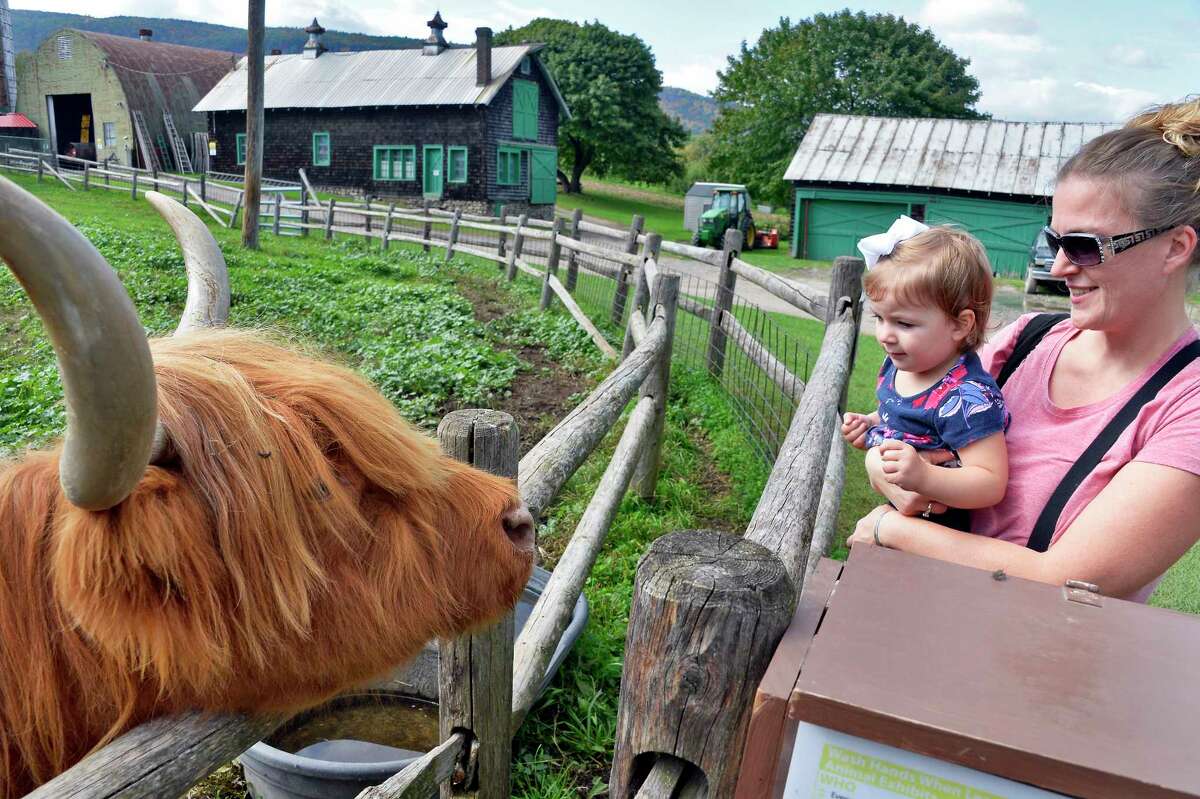 Jennifer Foster of Delmar and her 2-year-old daughter Alyssa get a close-up look at Rosie, the Scotch Highland Cow, at Indian Ladder Farms Tuesday Oct. 9, 2018 in Altamont, NY. (John Carl D'Annibale/Times Union)