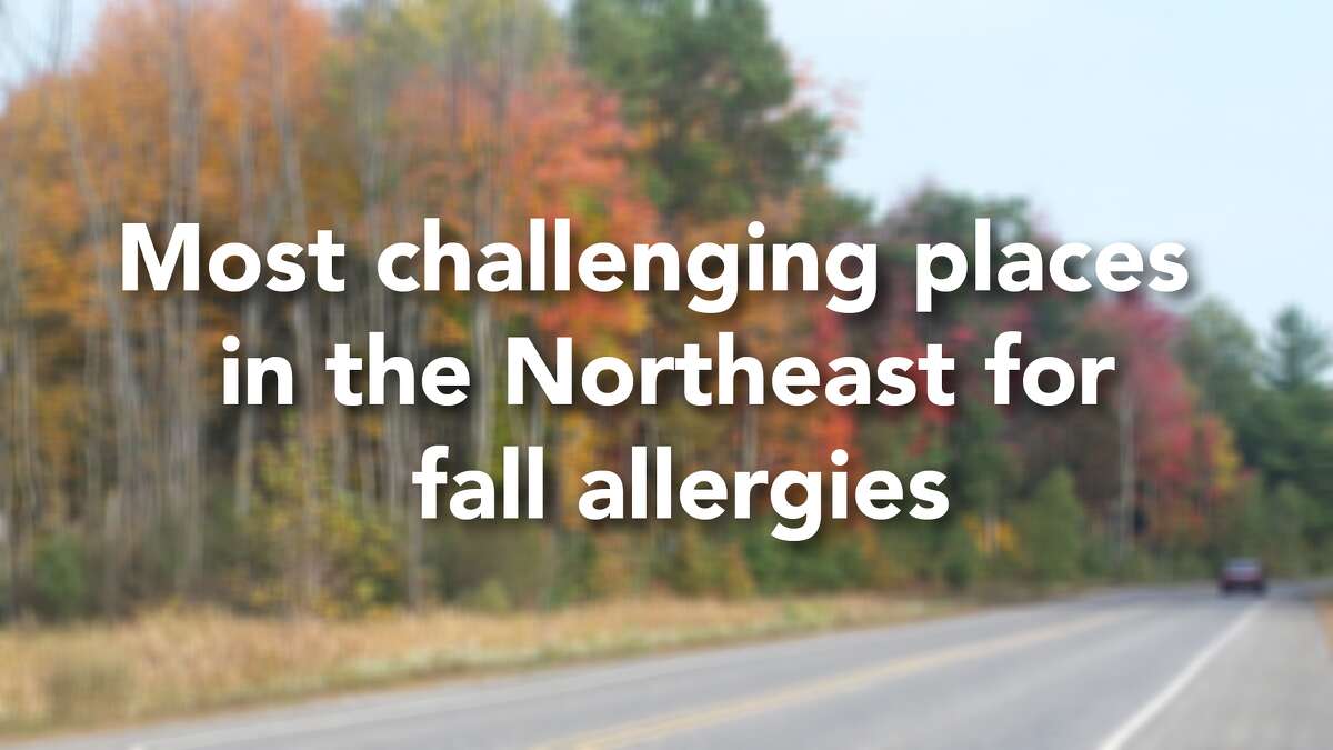 The Asthma and Allergy Foundation of America’s 2018 Fall Allergy Capitals annual ranking studied the 100 most-populated Metropolitan Statistical Areas in the contiguous 48 United States and analyzed seasonal pollen score, medication use and number of allergy specialists. While scores for individual categories are not weighted equally, they are calculated into a composite score to rank each city from highest total score to lowest. The national average score was 44.58, while the Northeast average was almost 12 points higher at 56.48. Click through the slideshow to see where Connecticut cities ranked in the Northeast as fall allergy capitals.