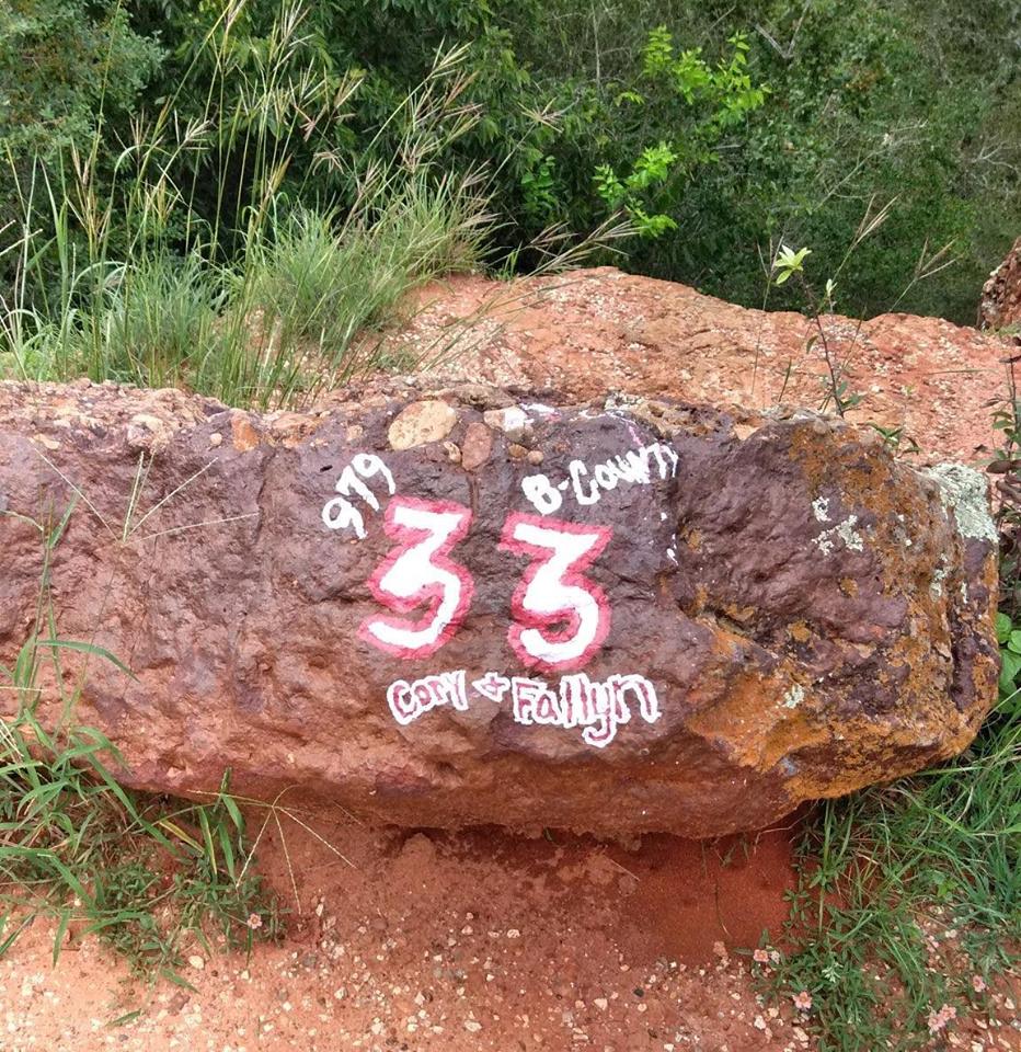 TPWD looking for person who vandalized 'historic' rock at Palmetto ...