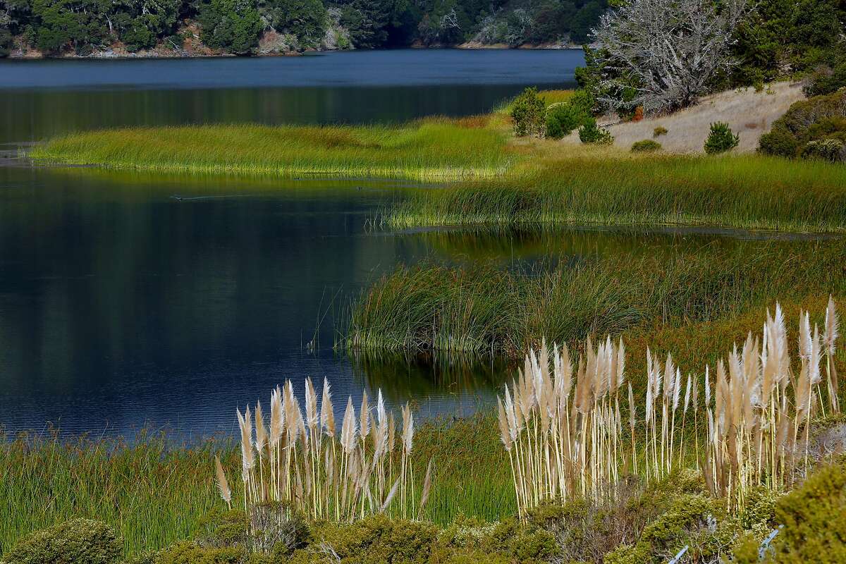 The Lower Crystal Springs Reservoir on Thursday, Oct. 11, 2018, in San Mateo County, Calif.