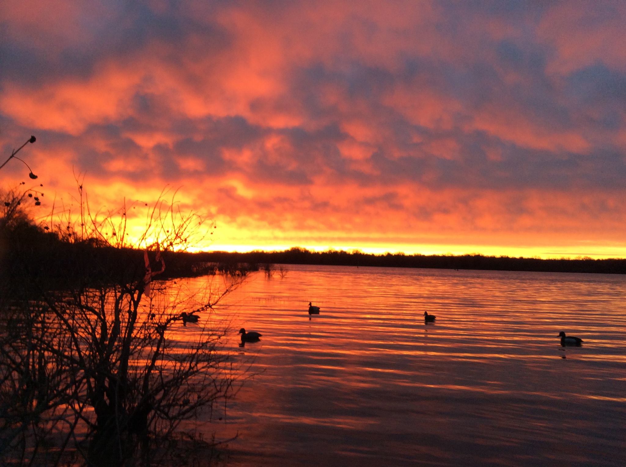 6 of Texas' most dangerous state parks are near San Antonio