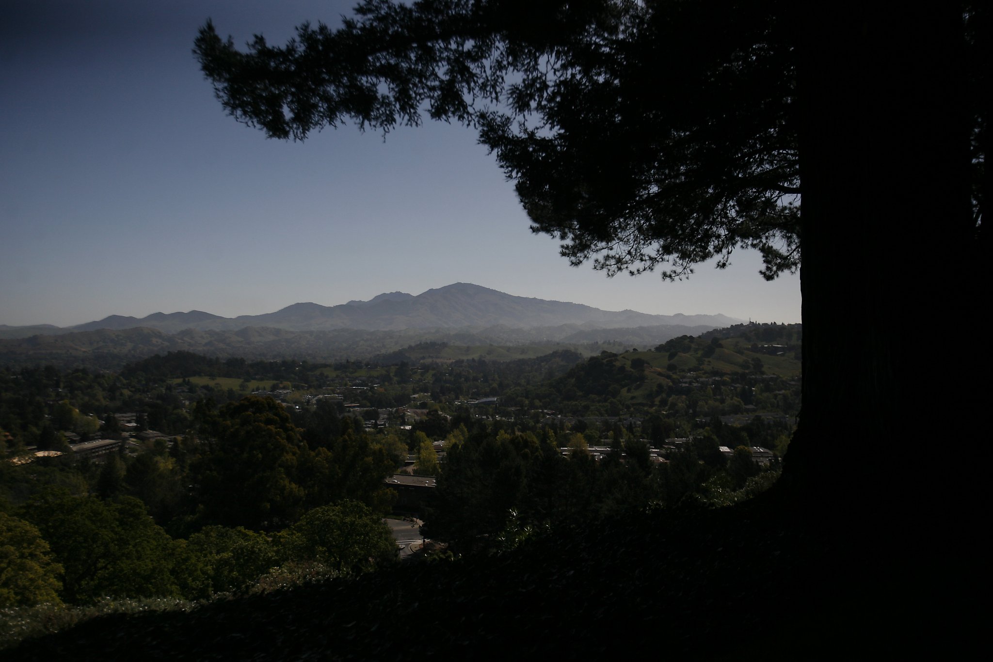 PG&E warns it may shut off power amid red flag fire conditions - SFGate