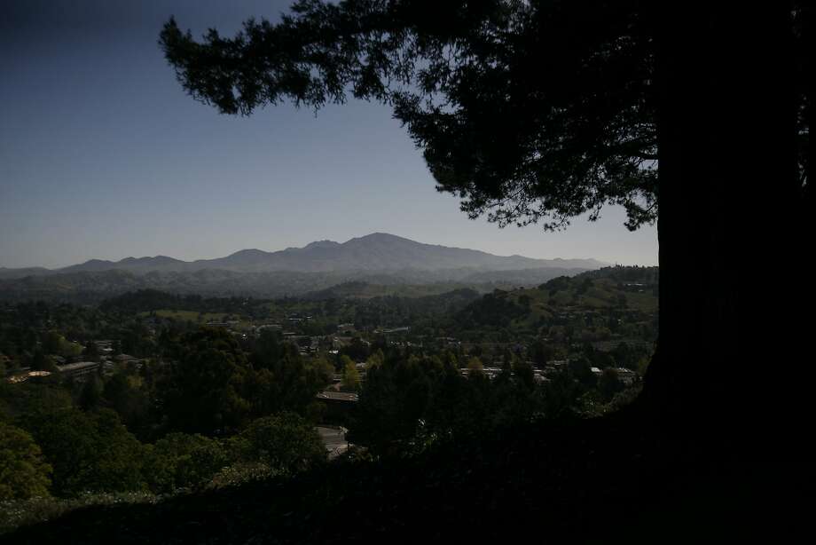 The area around the mount. Diablo is under the red flag this weekend facing drought and gusts of wind. Photo: Kepka, Mike / The Chronicle 2008