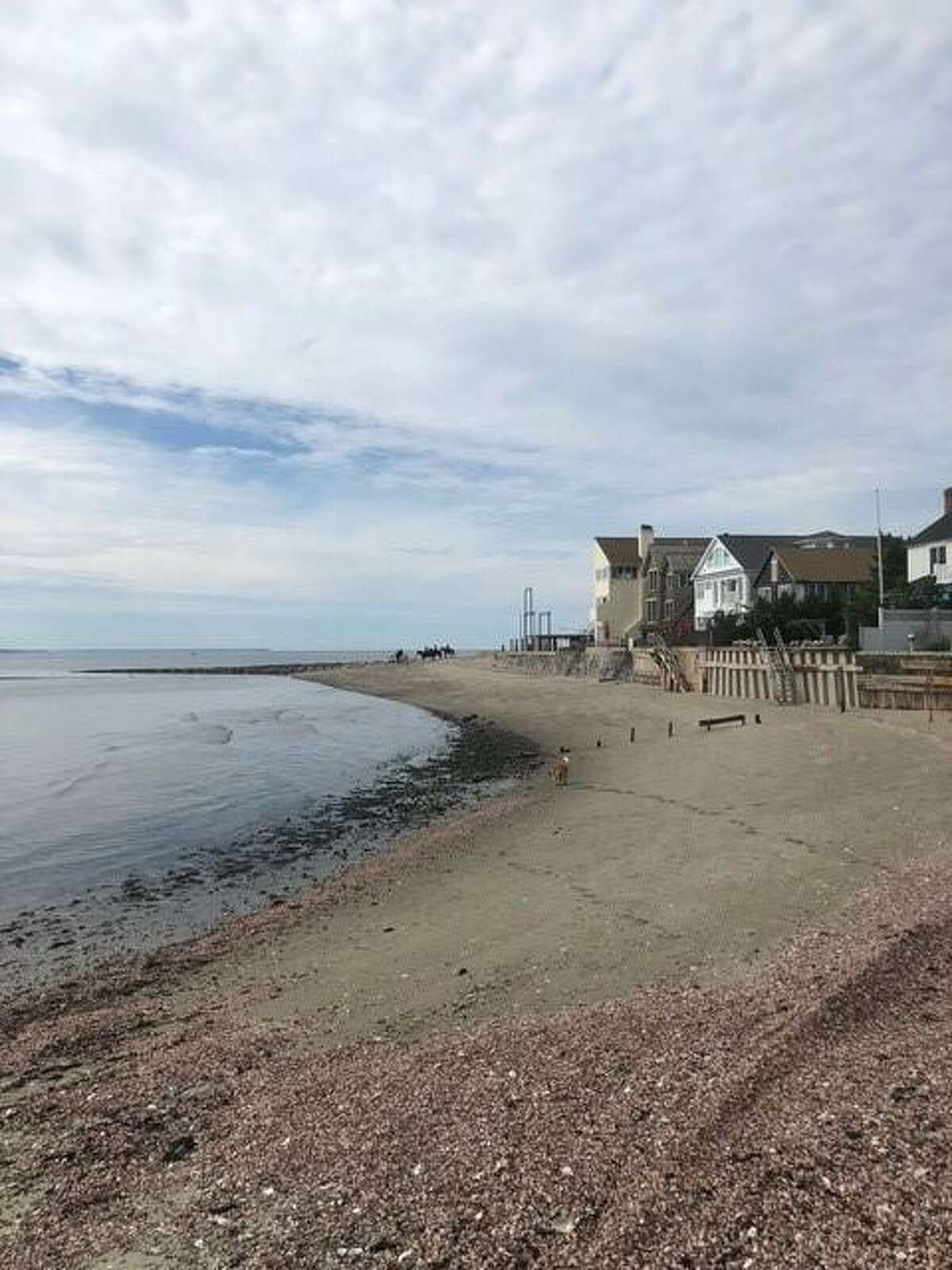 Horse dies on Fairfield beach