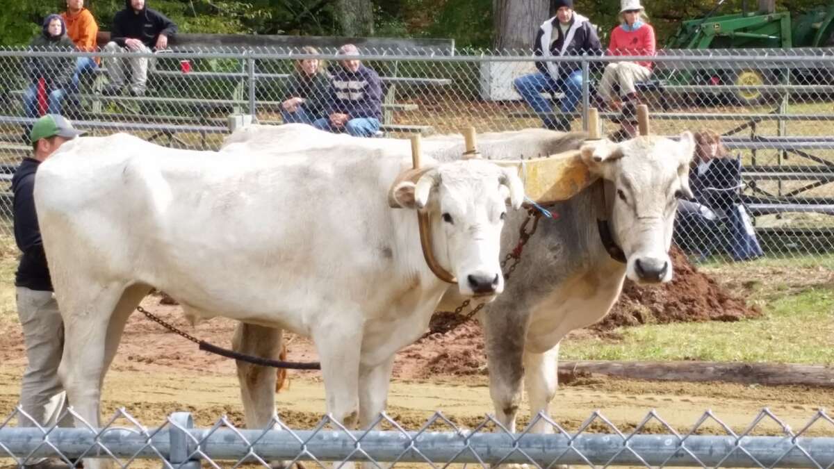 Riverton Fair celebrates tradition and community for 109th year