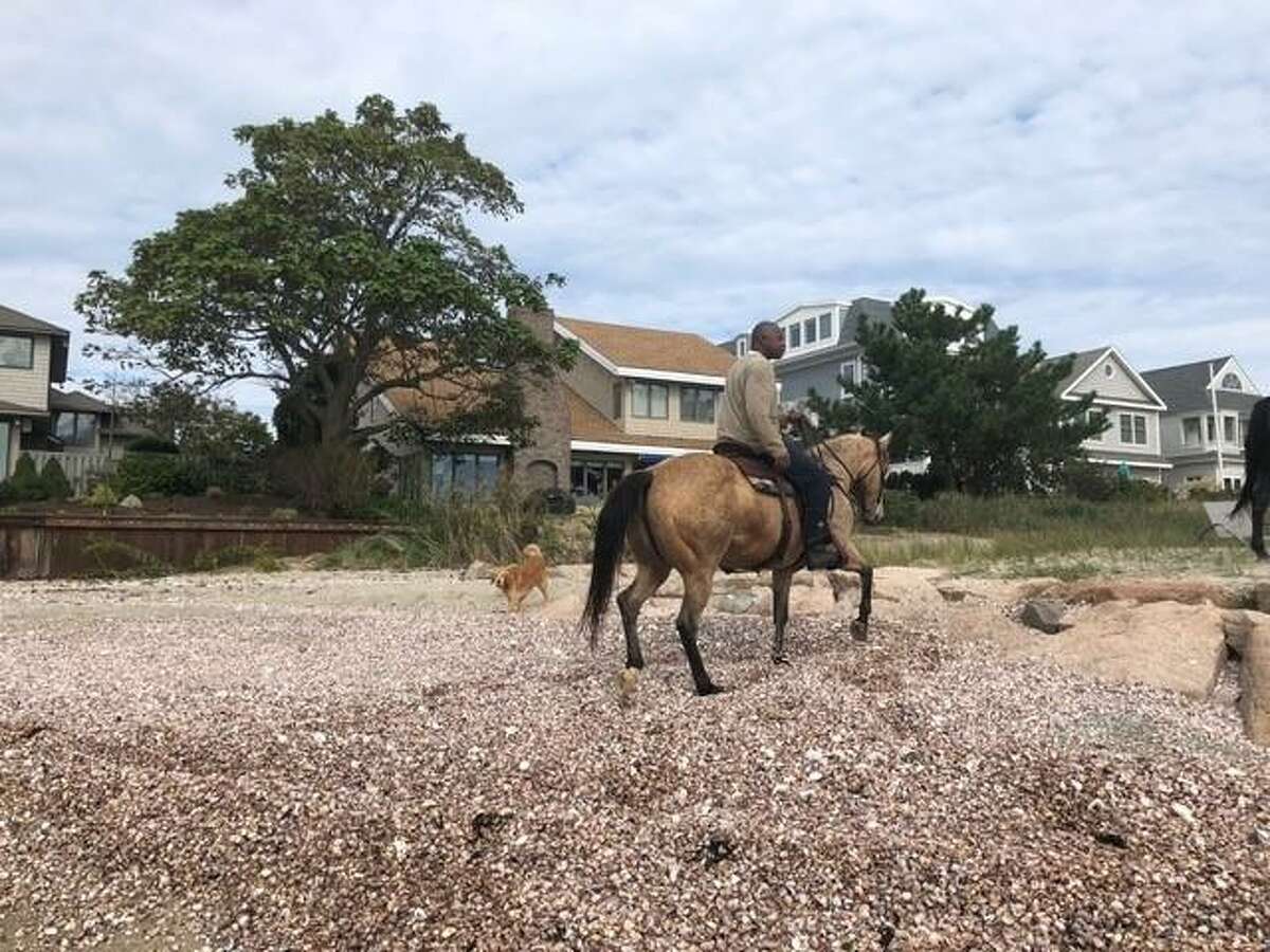A horse died Sunday on a beach off of Fairfield Beach Road. Here, photos reportedly of the party involved.
