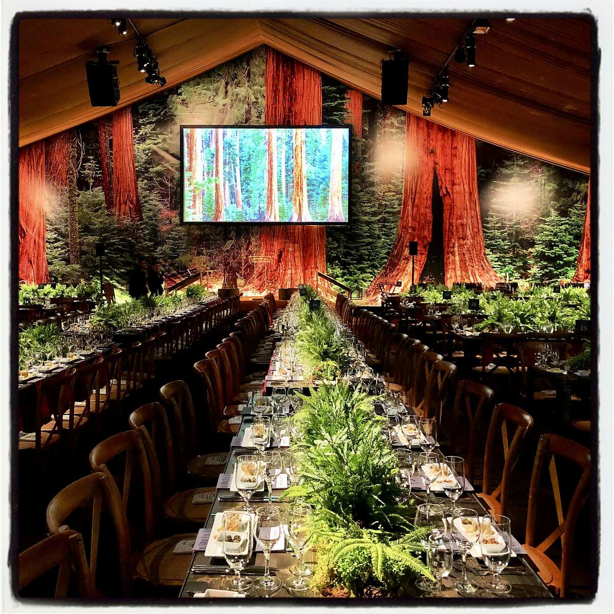 Interior of the Genevieve Brisebois-designed tent at the League to Save the Redwoods centennial gala. Oct. 13, 2018.