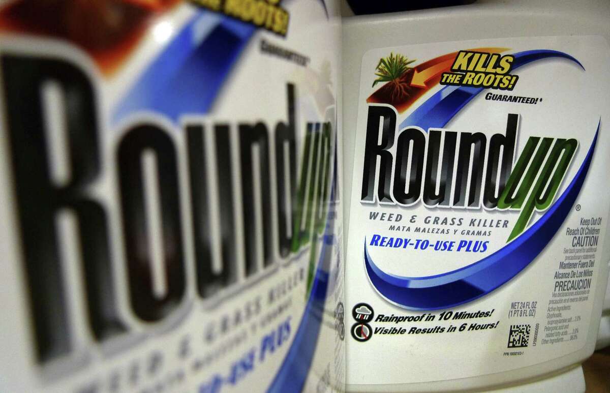 In this June 28, 2011, file photo, bottles of Roundup herbicide, a product of Monsanto, are displayed on a store shelf in St. Louis. A San Francisco jury on Friday, Aug. 10, 2018, ordered agribusiness giant Monsanto to pay $289 million to a former school groundskeeper dying of cancer, saying the company's popular Roundup weed killer contributed to his disease.