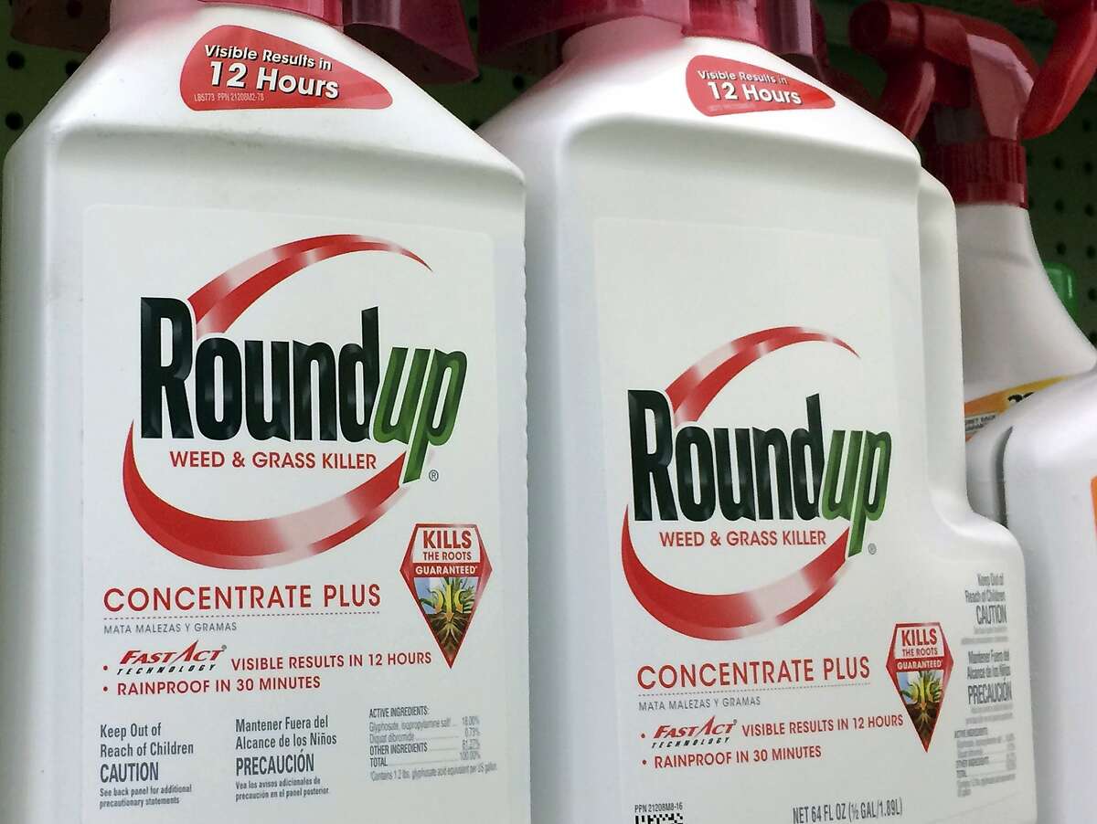 FILE - This Jan. 26, 2017 file photo shows containers of Roundup, a weed killer made by Monsanto, on a shelf at a hardware store in Los Angeles. Jurors who found that agribusiness giant Monsanto's Roundup weed killer contributed to a school groundskeeper's cancer are urging a San Francisco judge not to throw out the bulk of their $289 million award in his favor, a newspaper reported Monday, Oct. 15. (AP Photo/Reed Saxon, File)