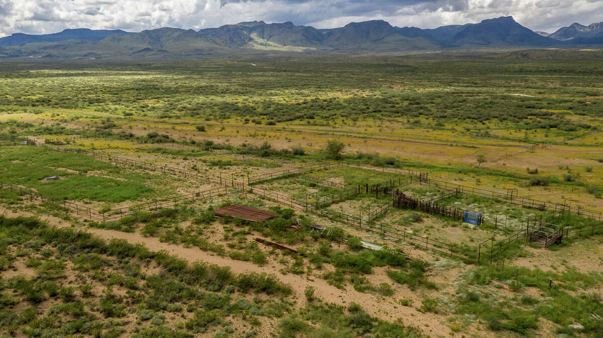 El Paso billionaire bids for huge West Texas ranch