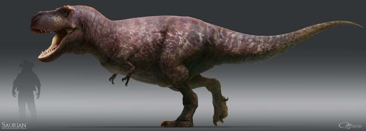 This Is How T Rex Really Looked According To One Bay Area Artist