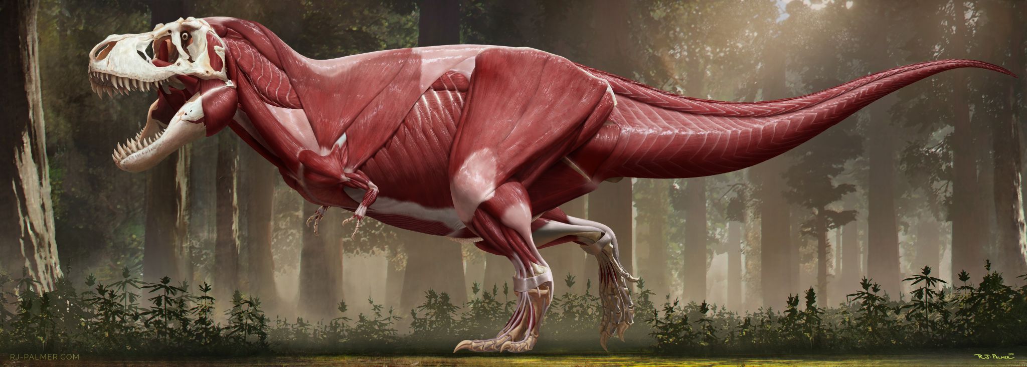 I updated this old T Rex painting with the most scientifically accurate  version to date : r/Dinosaurs