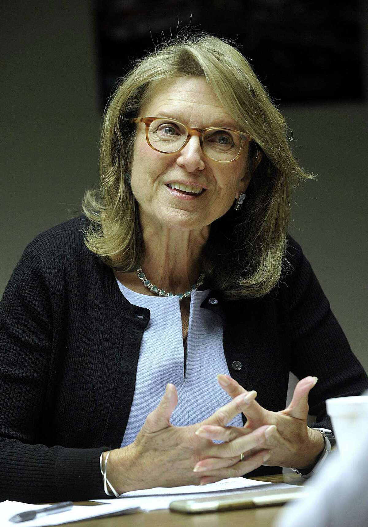 Democrat Julie Kushner, who is challenging 24th Senate district Republican State Sen. Mike McLachlan, in his re-election meets with The News-Times editorial board Wednesday, Oct. 17, 2018.