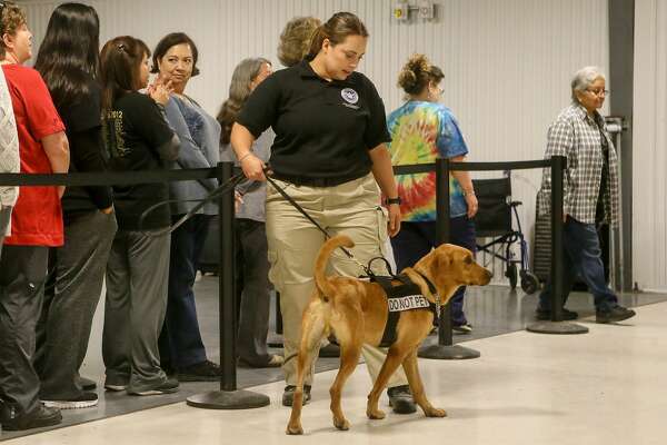 inside look tsa canine training