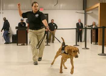 tsa k9 training