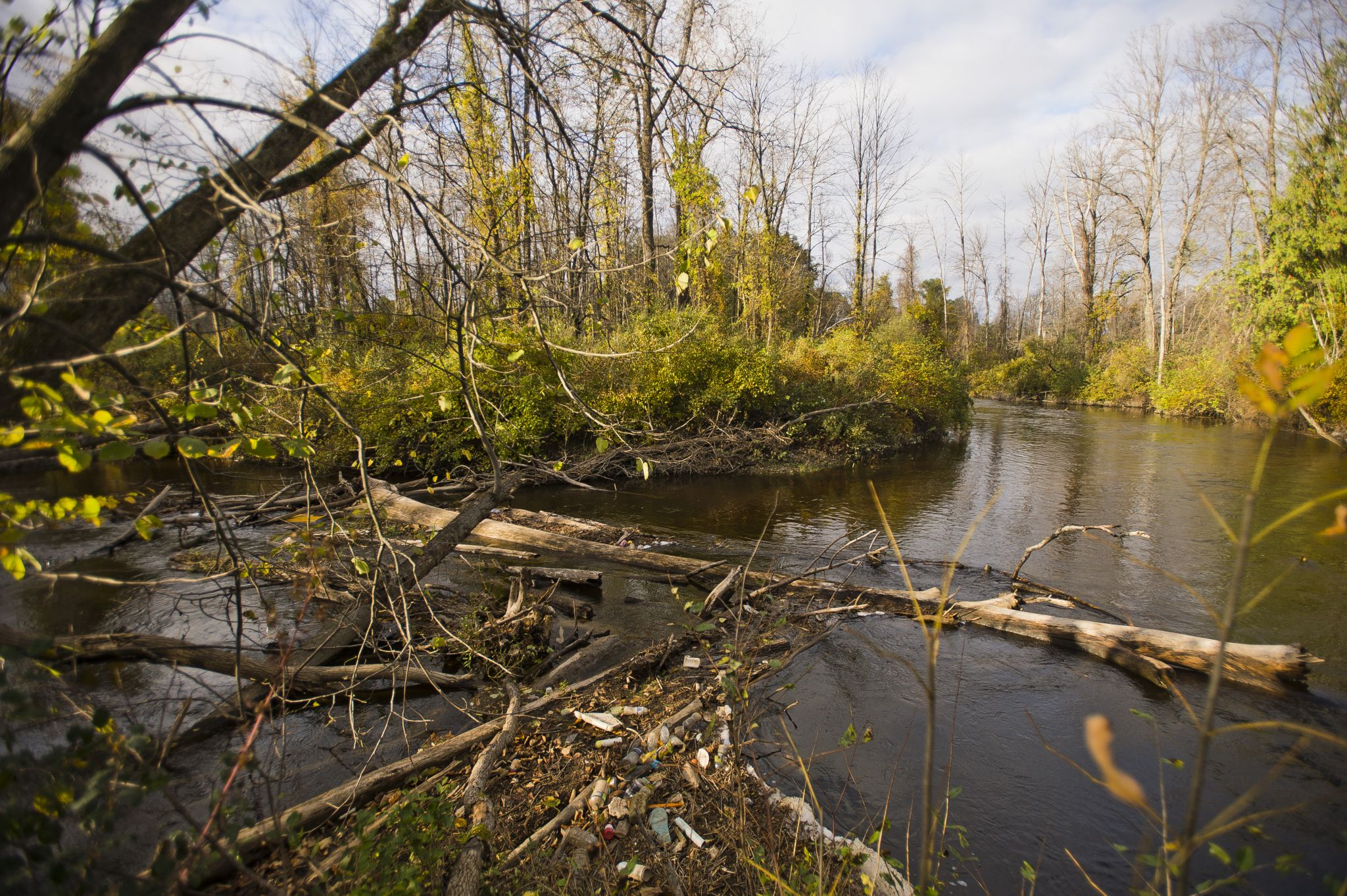 Log jam across Cedar River in Gladwin Oct. 17, 2018